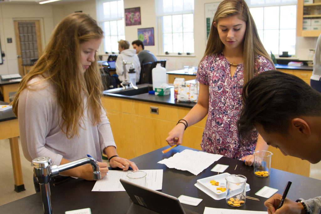 Collaboration in classrooms allows different students an opportunity to lead their peers.