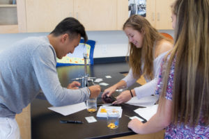 In a science class at New Hampton, students learn to persevere as they work through an experiment seeking answers to their hypothesis.