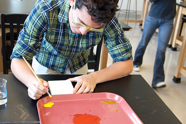 New Hampton students in extended blocks made their own paints from linseed oil and pigments in Chemistry.