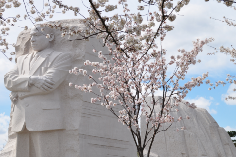 Marting Luther King Memorial Washington DC