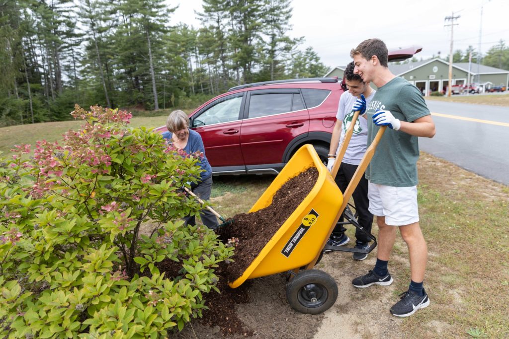 two high school boys helping spread mulch with a yellow wheel barrow